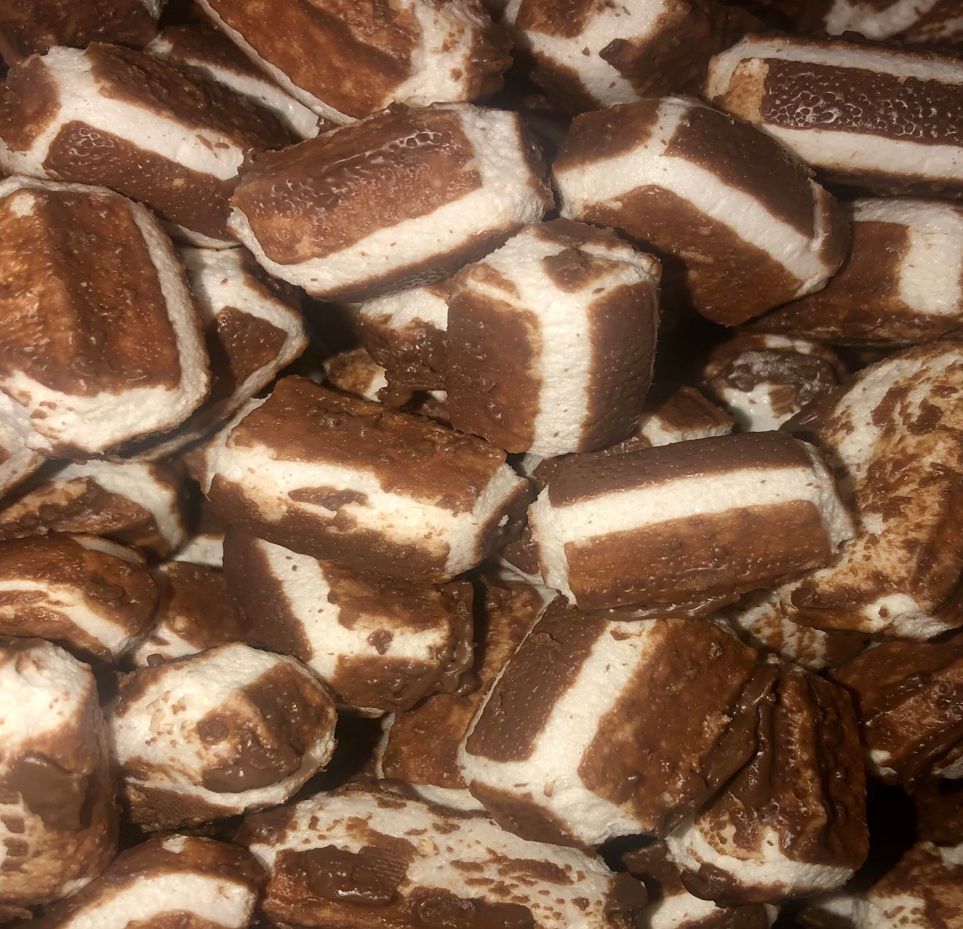 Malted Logs ~ Freeze Dried Candy made with Charleston Chews